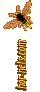 Stacks Image 1797